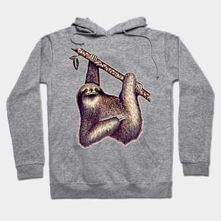 Sloth,sloth lover Hoodie